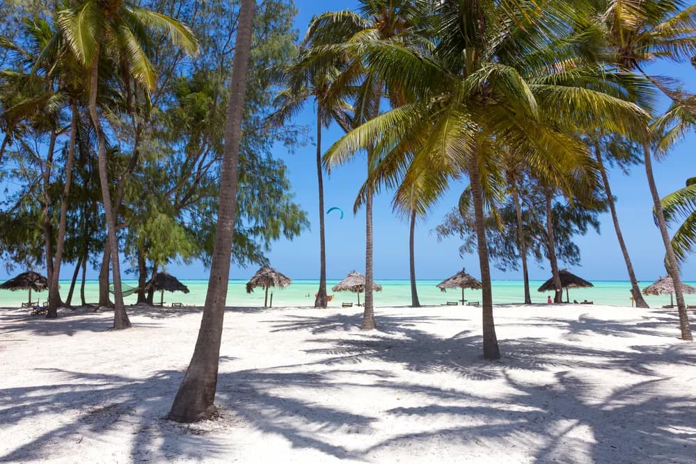 Palm trees and thatched umbrellas on the white sand of Paje Beach beside the turquoise Indian Ocean.